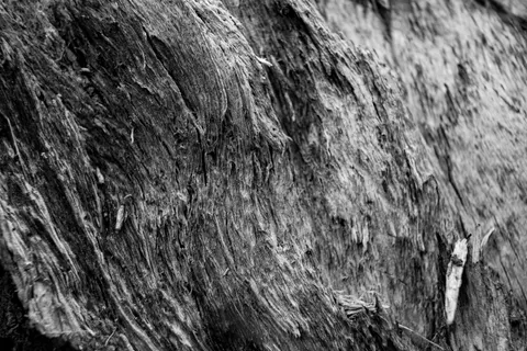 Wood Grain 4K Wallpaper · minimal · 3840×2560