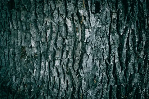 Wood Grain 4K Wallpaper · minimal · 3840×2560