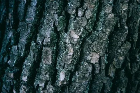 Holzmaserung 4K Hintergrundbild · minimal · 3840×2560