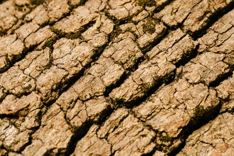 Wood Grain 4K Wallpaper · minimal · 3840×2560