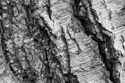 Holzmaserung 4K Hintergrundbild · minimal · 3840×2560