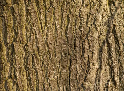 Wood Grain 4K Wallpaper · minimal · 3840×2841