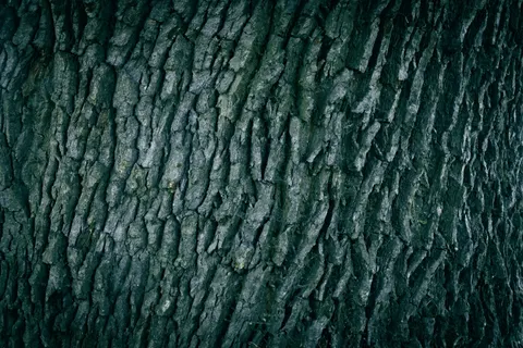 Ahşap Dokusu 4K Duvar Kağıdı · minimal · 3840×2560