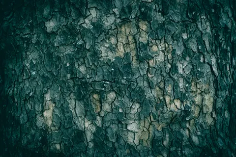 Wood Grain 4K Wallpaper · minimal · 3840×2560