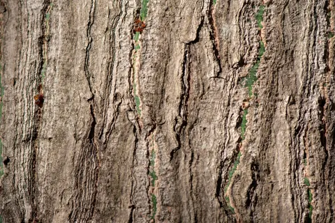 Wood Grain 4K Wallpaper · minimal · 3840×2563