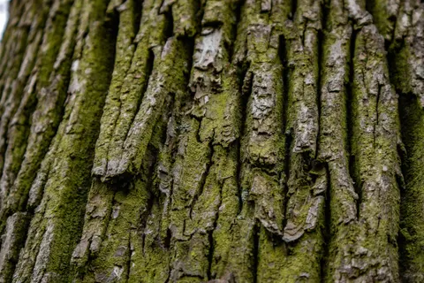 Wood Grain 4K Wallpaper · minimal · 3840×2560