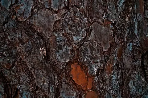 Holzmaserung 4K Hintergrundbild · minimal · 3840×2563