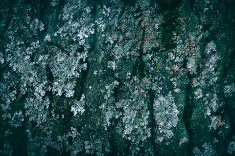 Wood Grain 4K Wallpaper · minimal · 3840×2560