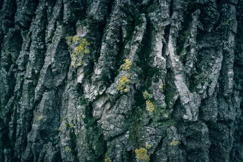Wood Grain 4K Wallpaper · minimal · 3840×2560