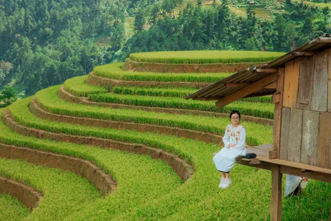Rice Terraces 4K Wallpaper · nature · 3840×2560