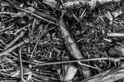 Wood Grain 4K Wallpaper · minimal · 3840×2560