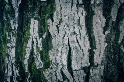 Wood Grain 4K Wallpaper · minimal · 3840×2560