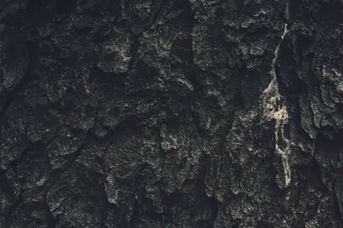 Wood Grain 4K Wallpaper · minimal · 3840×2560