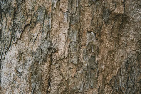 Wood Grain 4K Wallpaper · minimal · 3840×2560