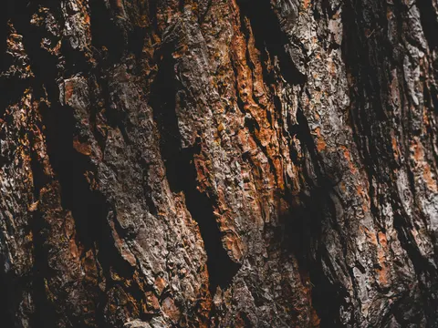 Wood Grain 4K Wallpaper · minimal · 3840×2880