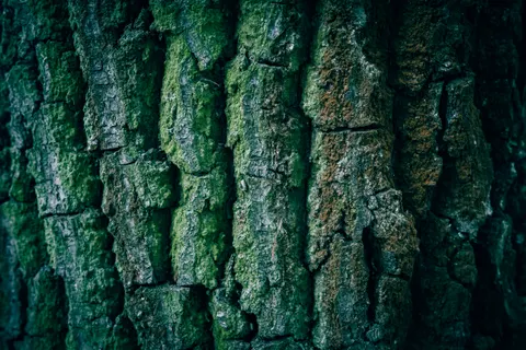 Wood Grain 4K Wallpaper · minimal · 3840×2560