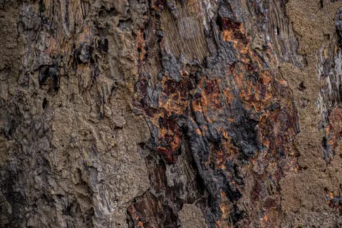Wood Grain 4K Wallpaper · minimal · 3840×2560