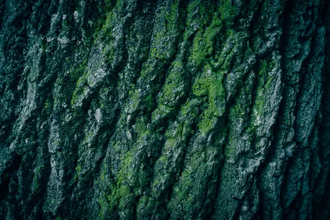 木紋 4K桌布 · minimal · 3840×2560
