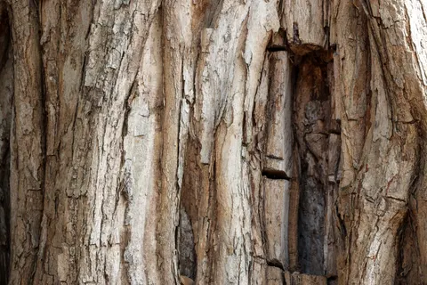 Wood Grain 4K Wallpaper · minimal · 3840×2561