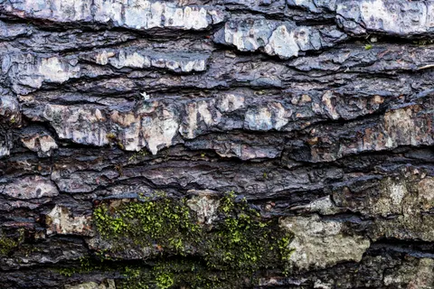 Wood Grain 4K Wallpaper · minimal · 3840×2560