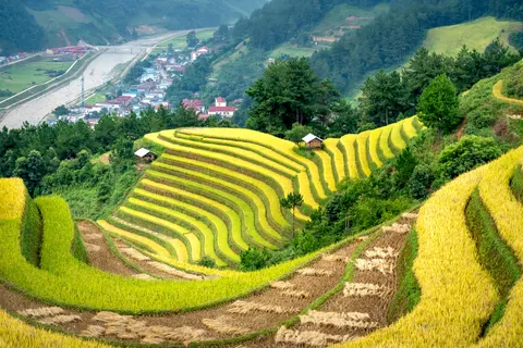 계단식 논 4K 배경화면 · nature · 3840×2560