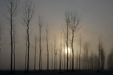 Foggy Minimal 4K Wallpaper · minimal · 3840×2560