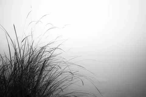 Foggy Minimal 4K Wallpaper · minimal · 3840×2560