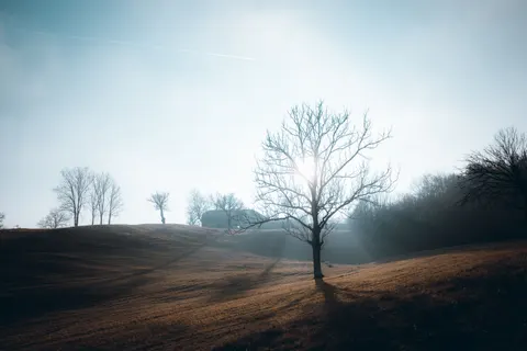 Foggy Minimal 4K Wallpaper · minimal · 3840×2560