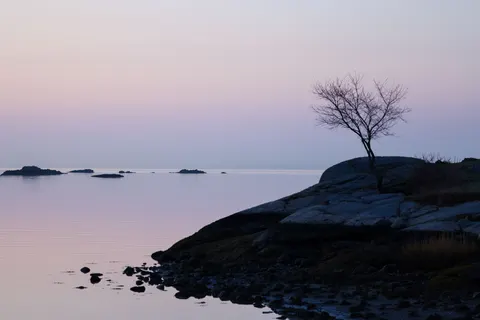 Lone Tree 4K Wallpaper · minimal · 3840×2561