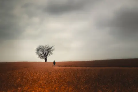 Lone Tree 4K Wallpaper · minimal · 3840×2562