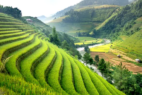 Rice Terraces 4K Wallpaper · nature · 3840×2561