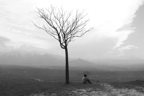Lone Tree 4K Wallpaper · minimal · 3840×2560