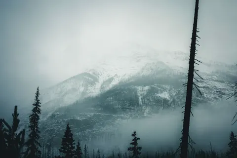 Lone Tree 4K Wallpaper · minimal · 3840×2561
