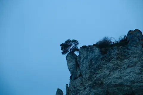 Lone Tree 4K Wallpaper · minimal · 3840×2560