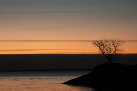 Lone Tree 4K Wallpaper · minimal · 3840×2560