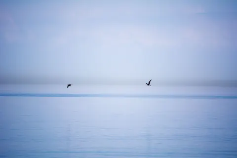 Still Water 4K Wallpaper · minimal · 3840×2560
