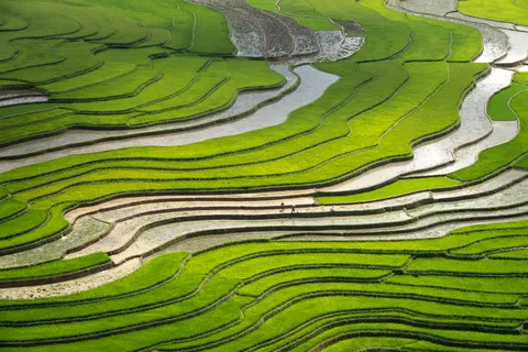 Rice Terraces 4K Wallpaper · nature · 3840×2561