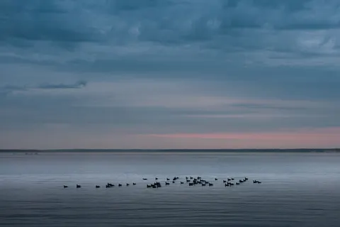 Still Water 4K Wallpaper · minimal · 3840×2560