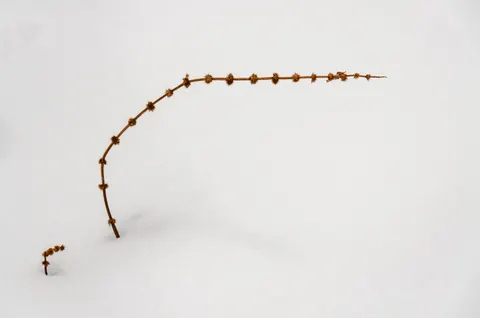 Fond d'écran Champ de neige 4K · minimal · 3840×2546