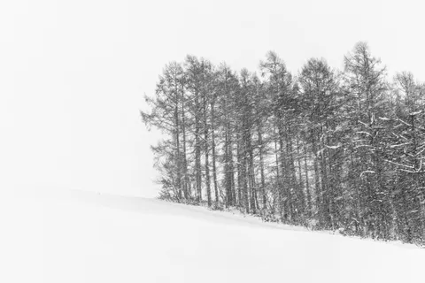 Snow Field 4K Wallpaper · minimal · 3840×2561