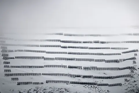 Snow Field 4K Wallpaper · minimal · 3840×2560