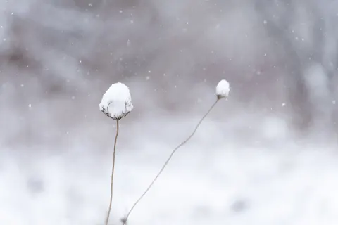 Snow Field 4K Wallpaper · minimal · 3840×2560