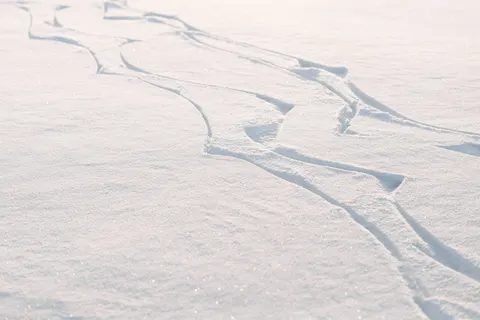 Snow Field 4K Wallpaper · minimal · 3840×2563