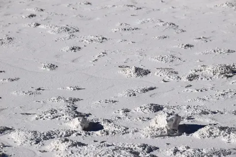 Snow Field 4K Wallpaper · minimal · 3840×2560