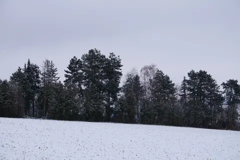 Snow Field 4K Wallpaper · minimal · 3840×2560