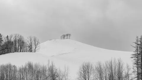 Tapeta Śnieżne pole 4K · minimal · 3840×2160