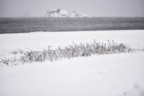 Snow Field 4K Wallpaper · minimal · 3840×2560