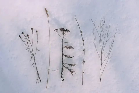 Fond d'écran Champ de neige 4K · minimal · 3840×2560