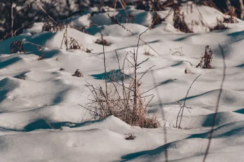 Sneeuwvlakte 4K-achtergrond · minimal · 3840×2560
