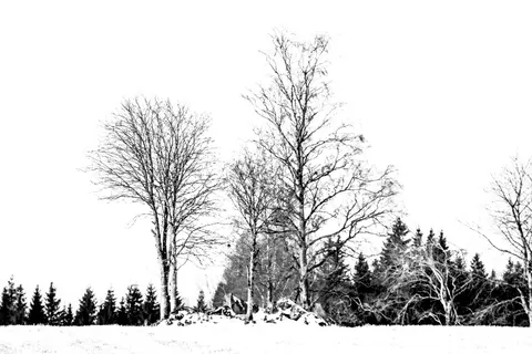 Snow Field 4K Wallpaper · minimal · 3840×2560
